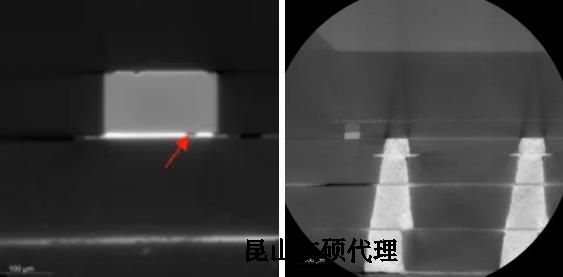 阿里蔡司阿里X射线显微镜